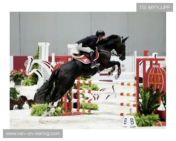 西班牙马术代表队引入先进的马匹护理技术，提升马匹健康水平。